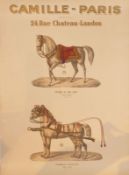 Frühes Werbeplakat für Pferdebedarf "Camille - Paris", Frankreich, um 1890