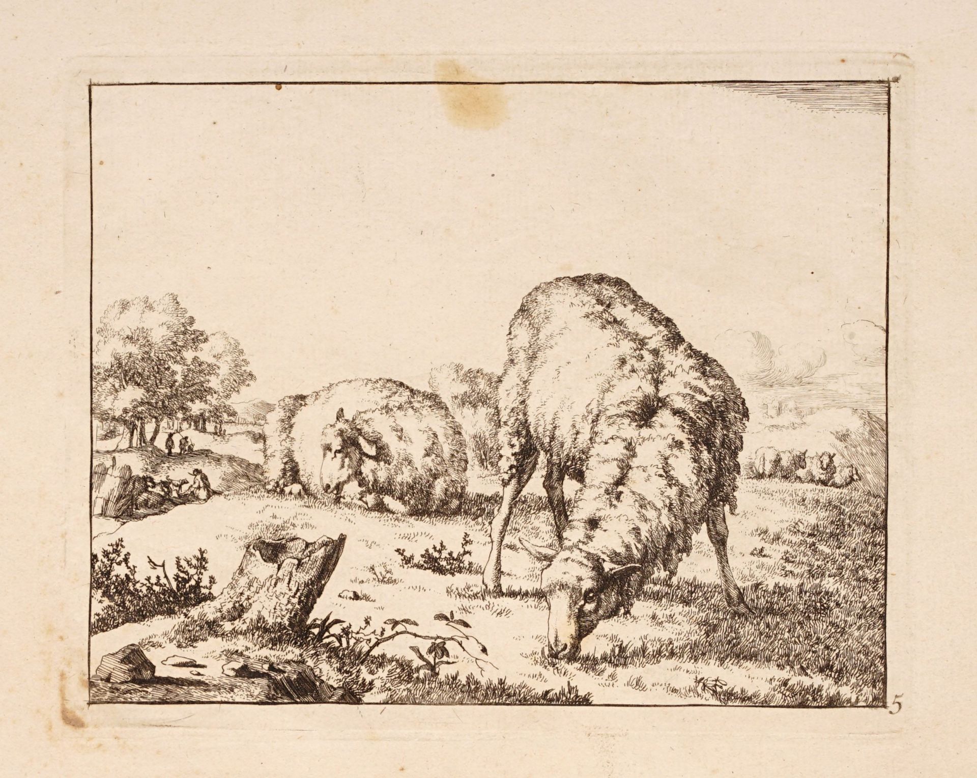 Johann Adam Klein  / Johann Elias Ridinger / Marcus de Bye, Acht Tierdarstellungen. 18./19. Jh. - Bild 4 aus 8