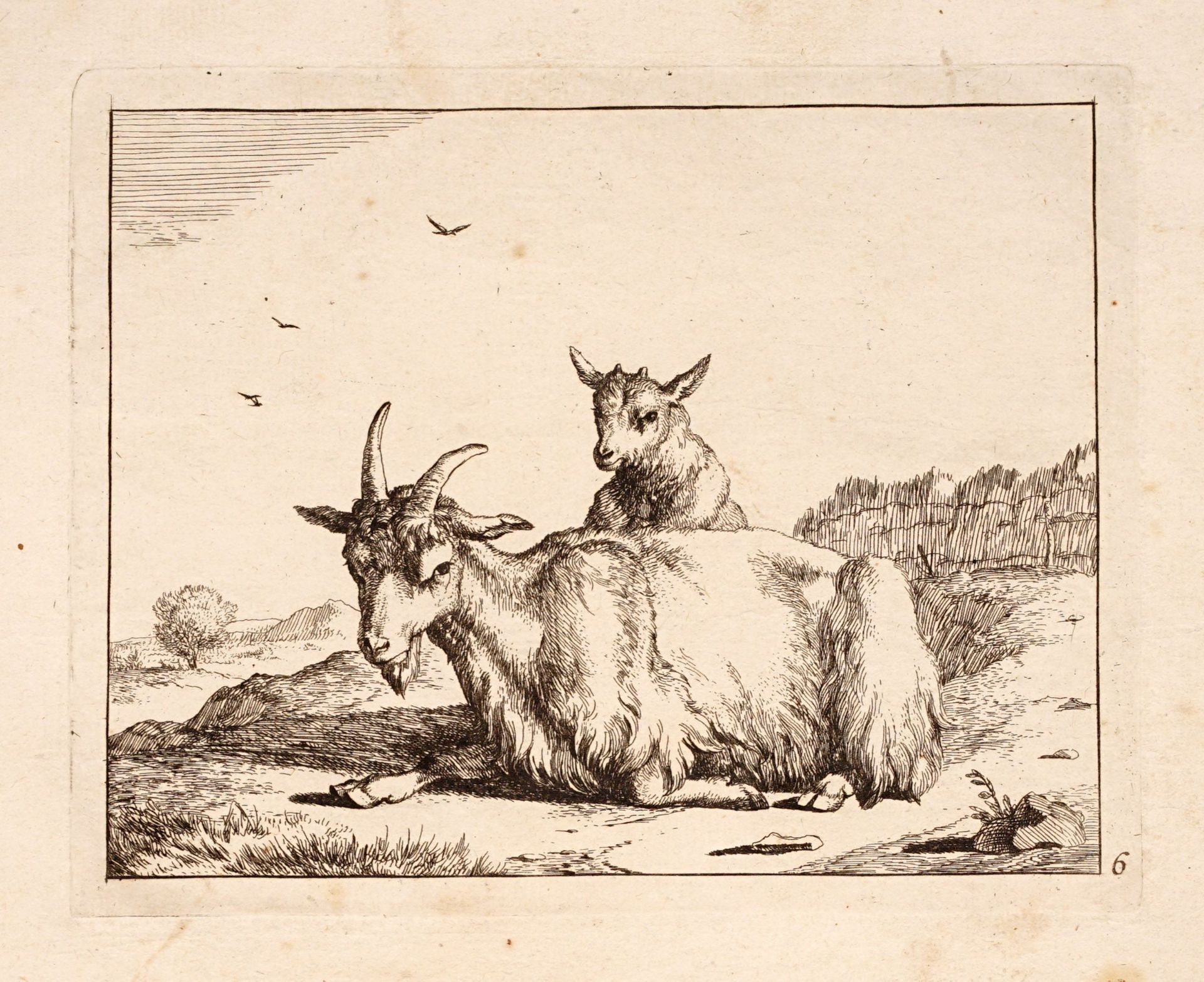Johann Adam Klein  / Johann Elias Ridinger / Marcus de Bye, Acht Tierdarstellungen. 18./19. Jh. - Bild 2 aus 8