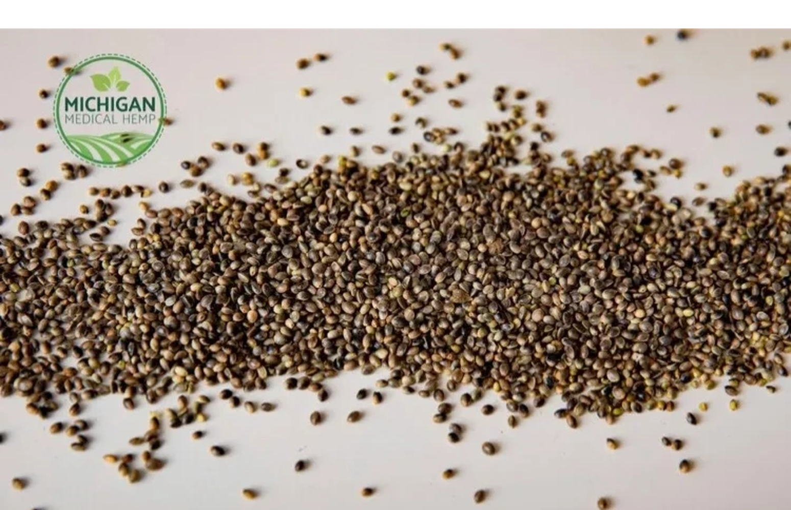 Michigan Medical Hemp Seed Online Auction