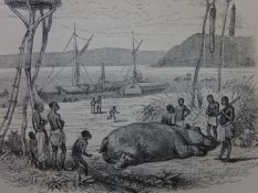 Livingstone - Expedition Zambesi
