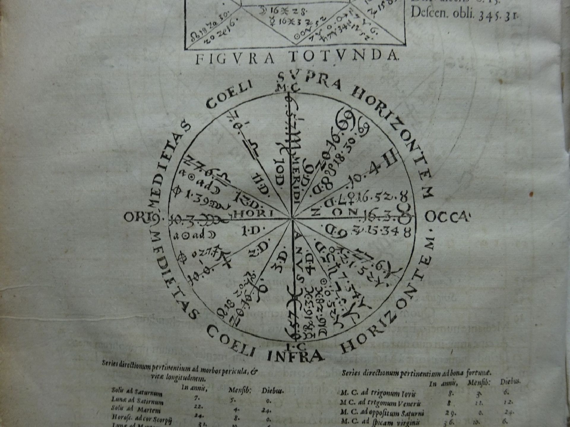 Rantzau - Ranzovianum calendarium - Bild 12 aus 15