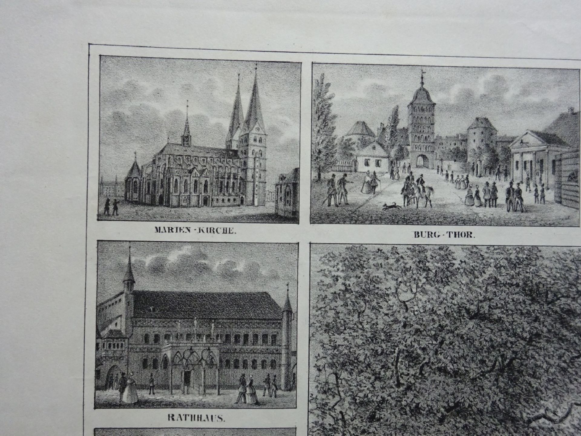 Hauttmann - Erinnerung an Lübeck - Bild 5 aus 9