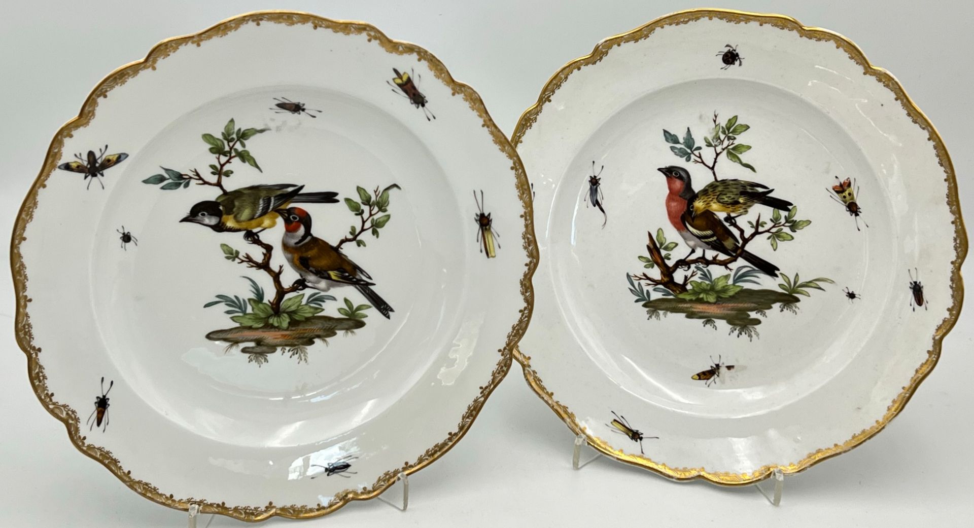 Zwei Teller mit Vogel- und Insektenmalerei. Meissen. Marcolini-Zeit.