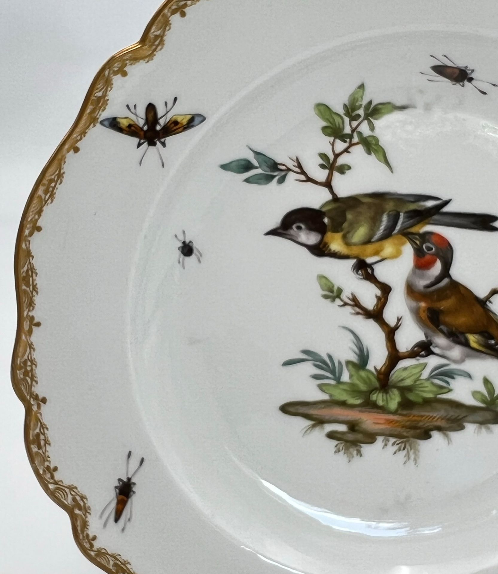 Zwei Teller mit Vogel- und Insektenmalerei. Meissen. Marcolini-Zeit. - Image 3 of 15
