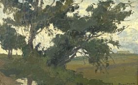 Eugène BROUILLARD (1870 - 1950). Landschaftsdarstellung.