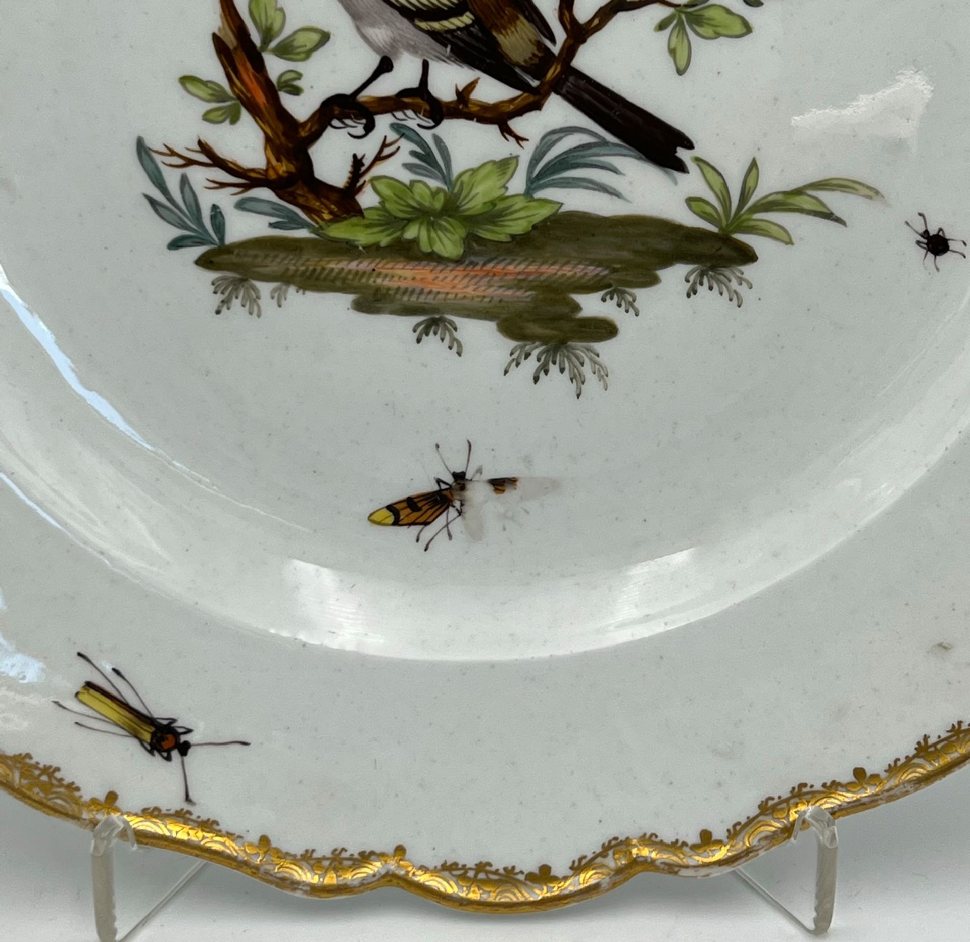 Zwei Teller mit Vogel- und Insektenmalerei. Meissen. Marcolini-Zeit. - Image 8 of 15