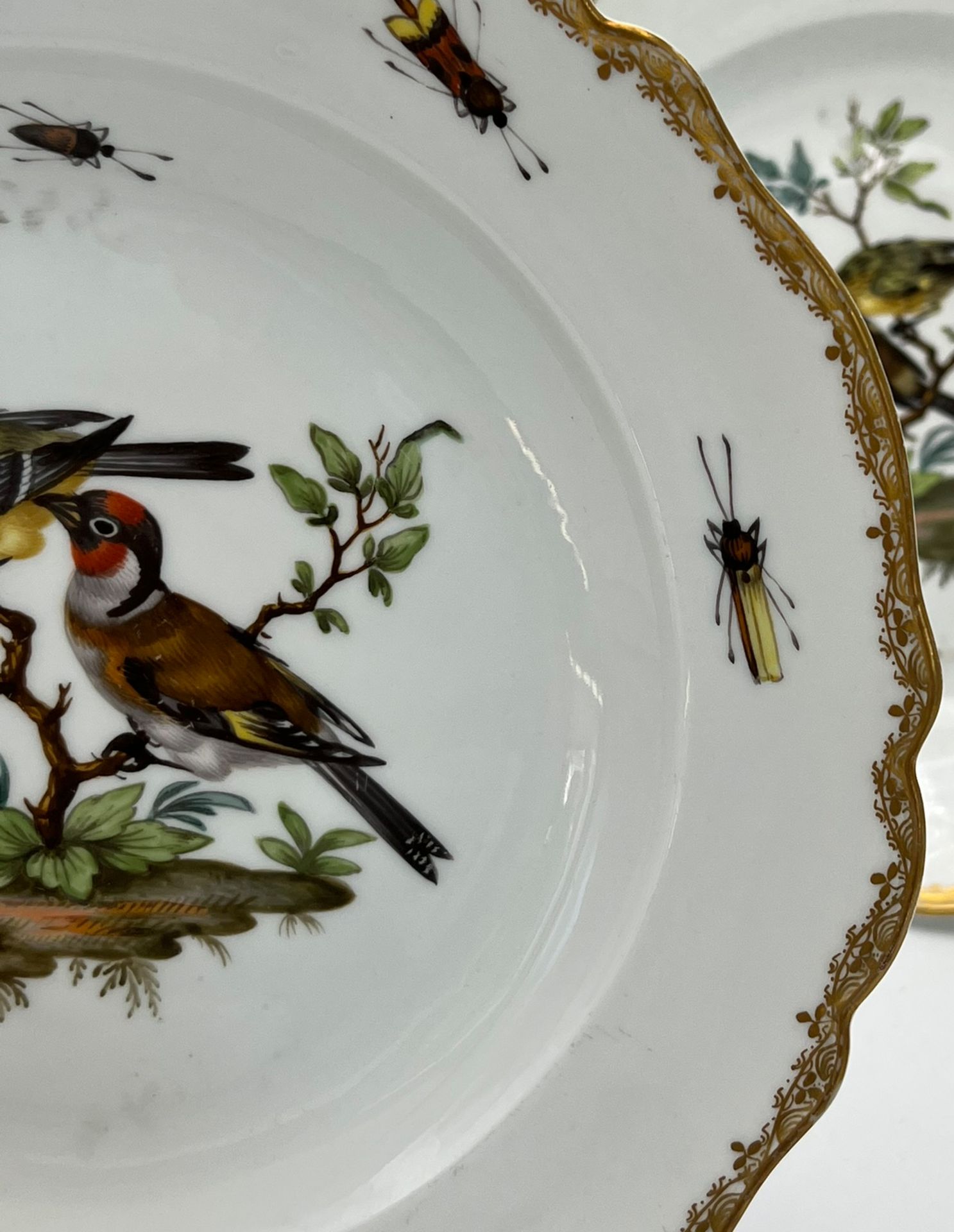 Zwei Teller mit Vogel- und Insektenmalerei. Meissen. Marcolini-Zeit. - Image 5 of 15