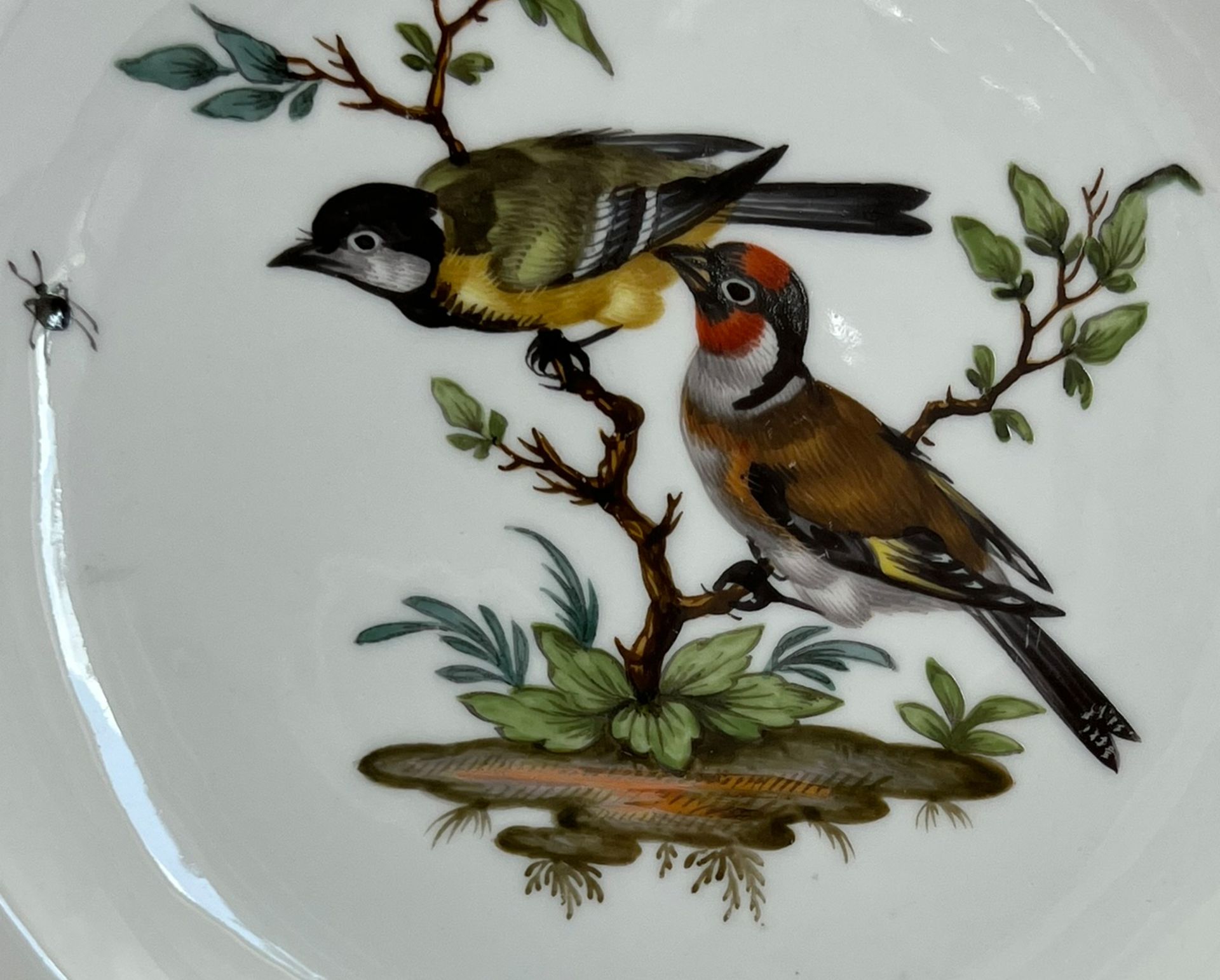 Zwei Teller mit Vogel- und Insektenmalerei. Meissen. Marcolini-Zeit. - Image 4 of 15