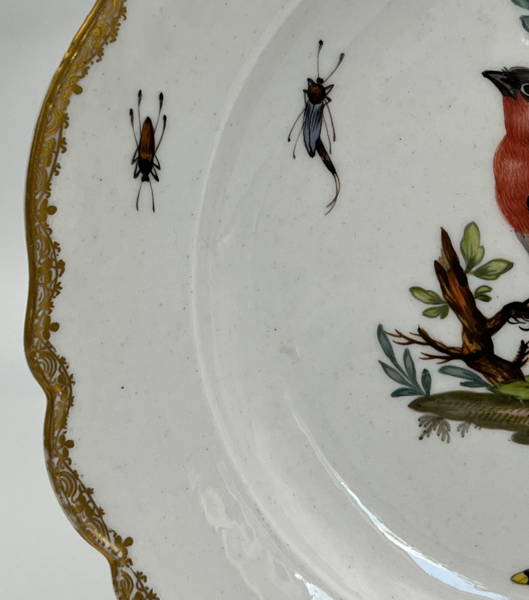 Zwei Teller mit Vogel- und Insektenmalerei. Meissen. Marcolini-Zeit. - Image 11 of 15