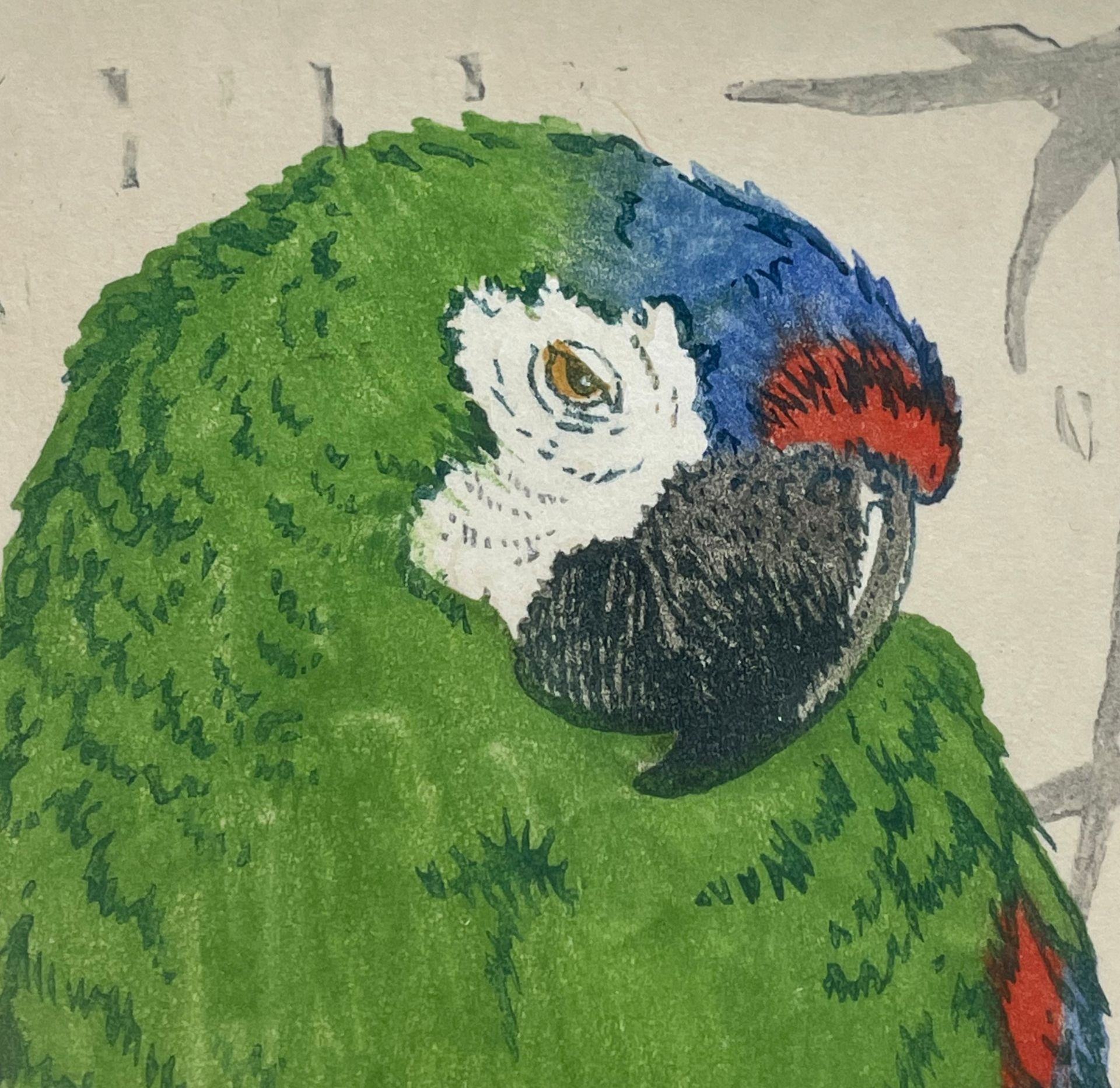 Martin Erich PHILIPP (1887 - 1978). ''Grüner Papagei'' und ''Roter Ara''. - Bild 5 aus 13