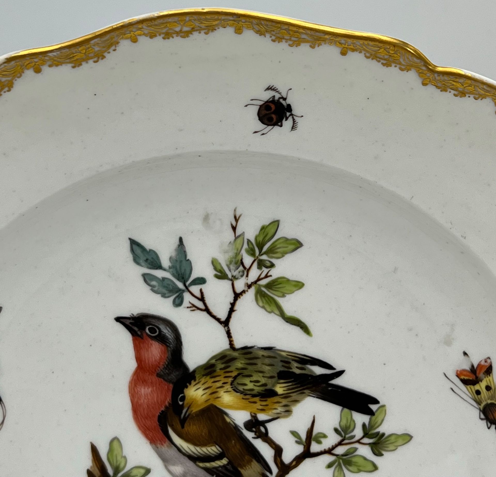 Zwei Teller mit Vogel- und Insektenmalerei. Meissen. Marcolini-Zeit. - Image 10 of 15