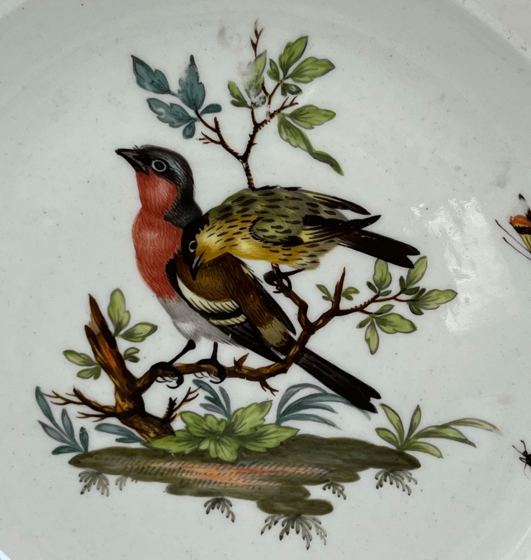 Zwei Teller mit Vogel- und Insektenmalerei. Meissen. Marcolini-Zeit. - Image 9 of 15