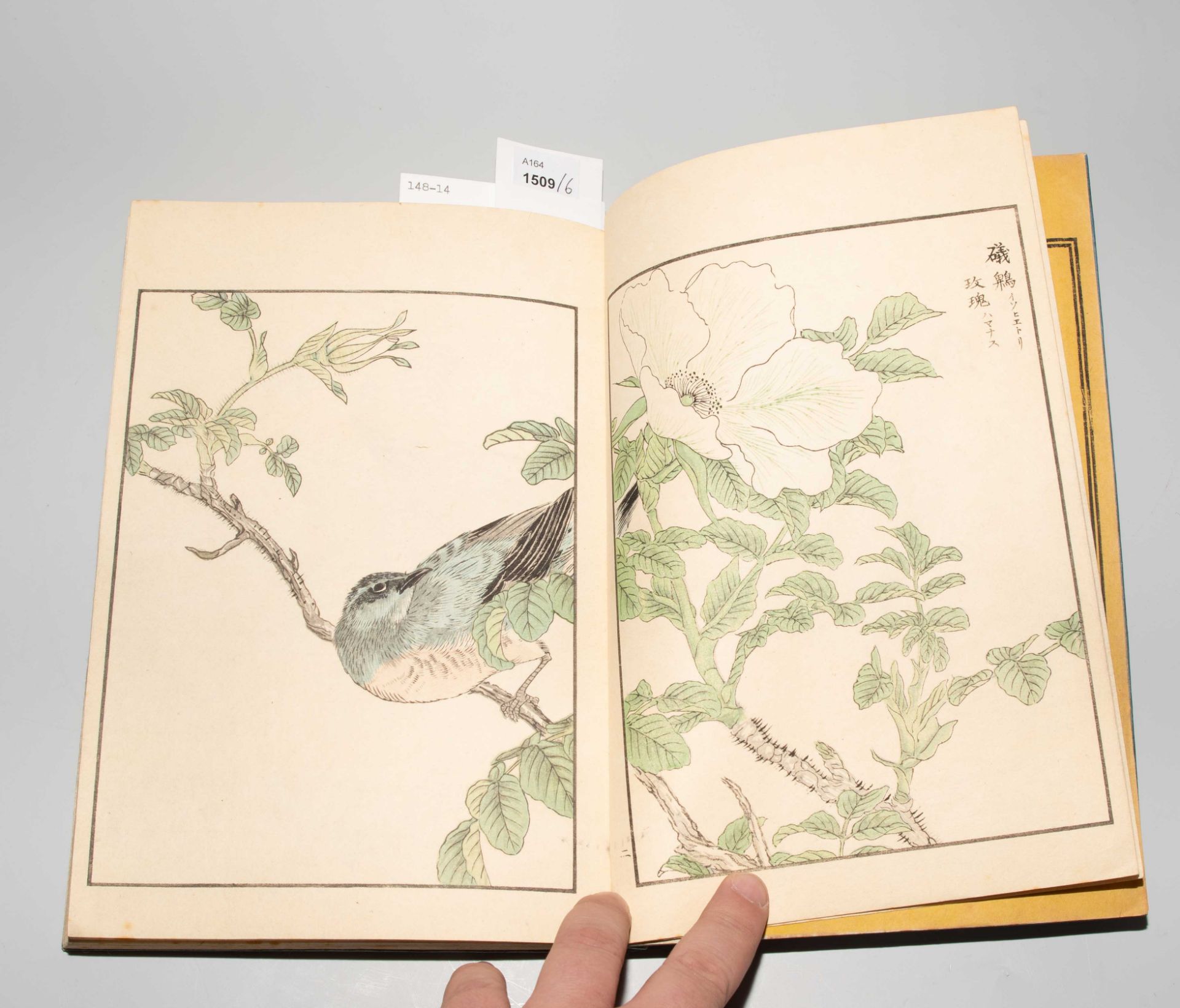 Lot: 6 Bücher von Kôno Bairei (1884–1895) und Mumata Kashu ( ?–1901) - Bild 8 aus 29