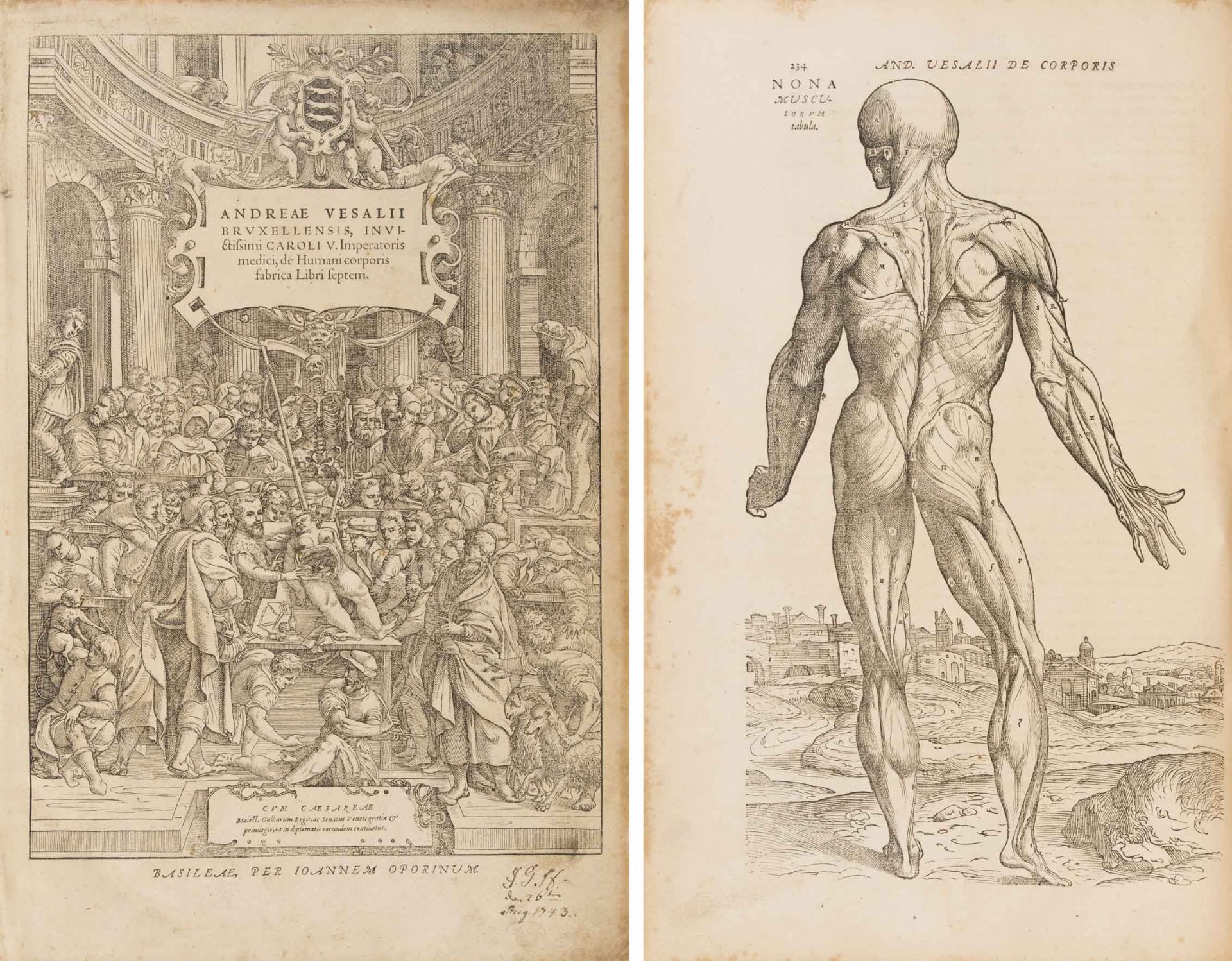 Vesalius, Andreas