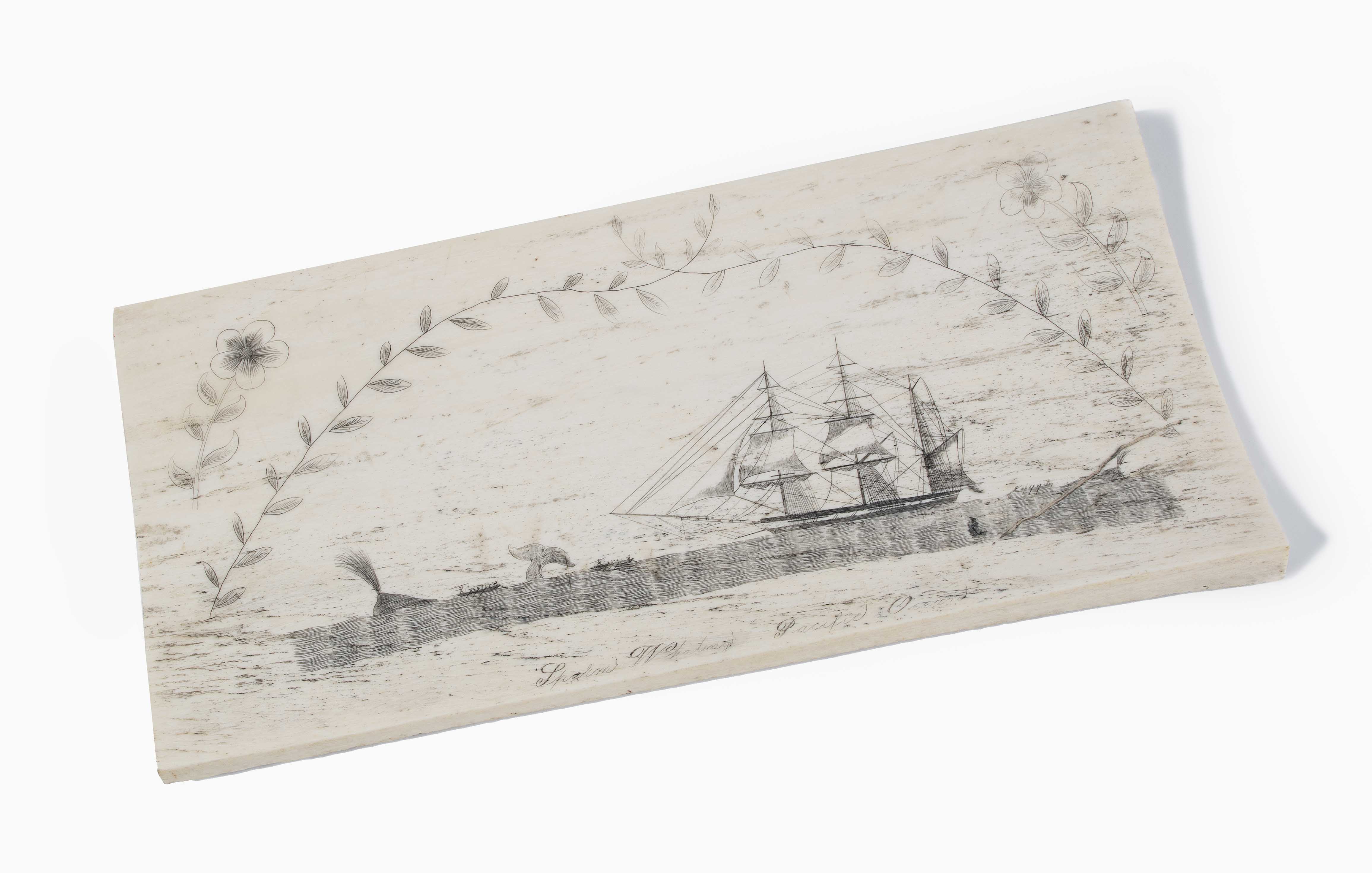 Scrimshaw, Bildtafel