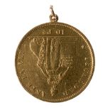 22 kts. yellow gold pendant made with a 10 pesos coin of the Republic of Chile. Year 1882.Weight: