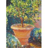 LAUREANO BARRAU BUÑOL (Barcelona, 1864 – Santa Eulària des Riu, Ibiza, 1957)."Pot with lemon tree".