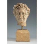 Head of Satyr; Rome, 1st-2nd century AD.Marble.In good condition with no restorations.Provenance: