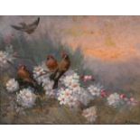 AURELI TOLOSA Y ALSINA (Barcelona, 1861 - 1938)."Flowers and birds".Oil on cardboard.Signed in the