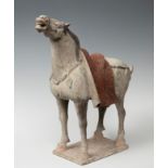 Horse; China, Tang Dynasty, AD 619-906.Polychrome terracotta.Thermoluminescence certificate