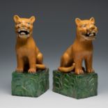 Pair of Foo lions, Qing dynasty. China, 19th century.Hand-polychromed porcelain.Measurements: 43 x