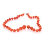 Necklace of red coral beads. Strand of beads of various diameters the largest of 22 mm. Silver