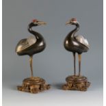 Pair of censers. China, Qing period, 19th century.Bronze and cloisonné enamels.Measurements: 29 x 14