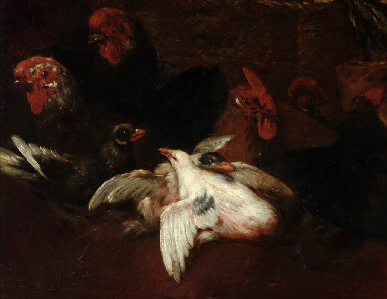 17th century Spanish school."Still life with cat and poultry".Oil on canvas.Measurements: 89 x 98 - Image 2 of 7