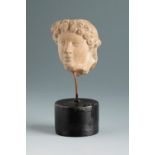 Male head. Smyrna, 3rd century BC.Terracotta.Provenance: Smyrna, 1895-1905. Collection Paul