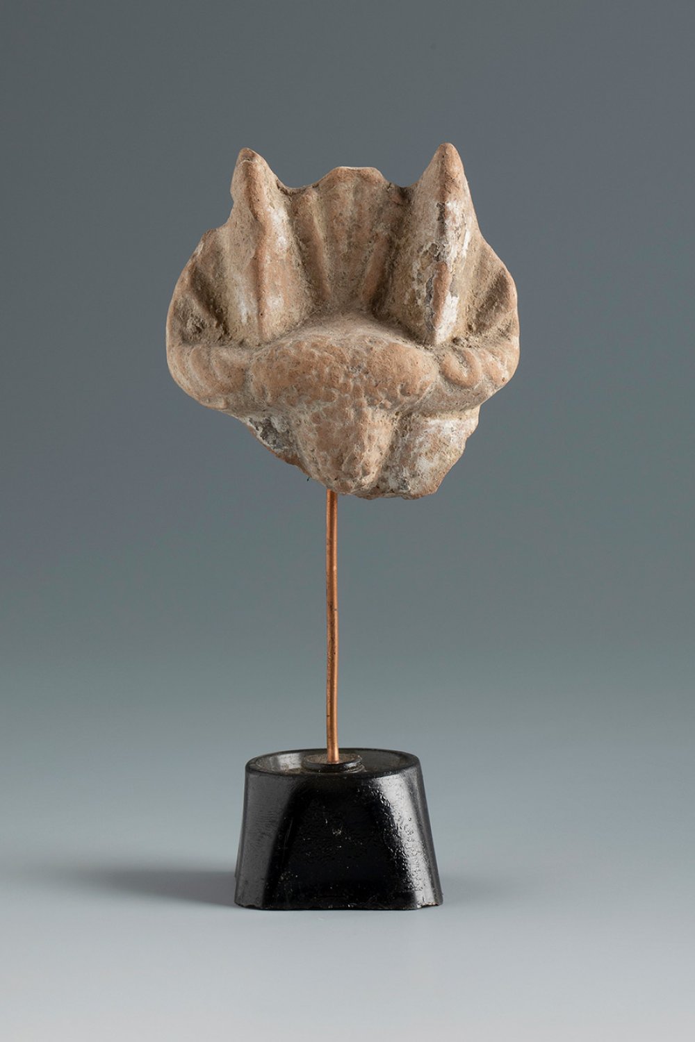 Fragment of cornucopia. Smyrna, 3rd century BC.Terracotta.Provenance: Smyrna, 1895-1905.