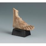 Right foot. Smyrna, 3rd century BC.Terracotta.Provenance: Smyrna, 1895-1905. Collection Paul