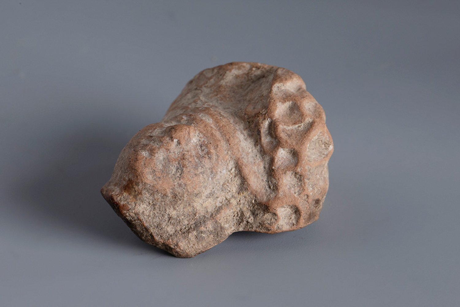 Head. Smyrna, 3rd century BC.Terracotta.Provenance: Smyrna, 1895-1905. Collection Paul Gaudin (Paris - Bild 2 aus 3