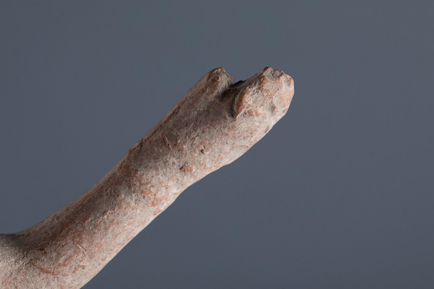 Right arm of an articulated doll. Smyrna, 3rd century BC.Terracotta.Provenance: Smyrna, 1895-1905. - Bild 3 aus 3