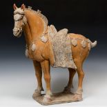 Horse; China, Tang Dynasty, AD 619-906.Polychrome terracotta.Thermoluminescence certificate