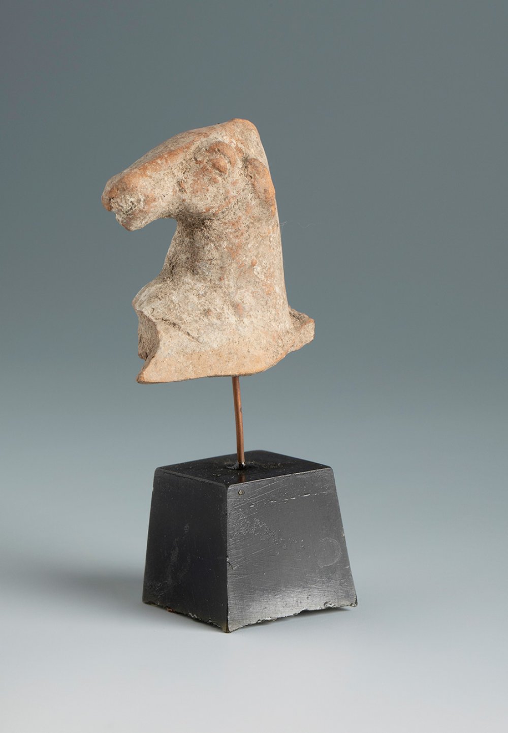 Horse's head. Smyrna, 3rd century BC.Terracotta.Provenance: Smyrna, 1895-1905. Collection Paul
