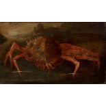 School of GIUSEPPE RECCO (Naples, 1634 - Alicante, 1695)."Spider crab".Oil on canvas.It has a 19th