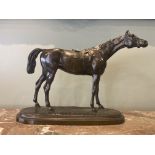 A Bronze Horse (Isidore Jules Bonheur, 1827 - 1901)