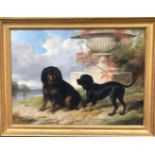 Lord Methuen's Spaniels Gipsy and Fairy (William Barraud)