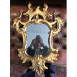 18th/19th Century, A carved and gilded mirror