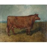 Emms, John (1844-1912), Portrait of a bull in a landscape (1902)