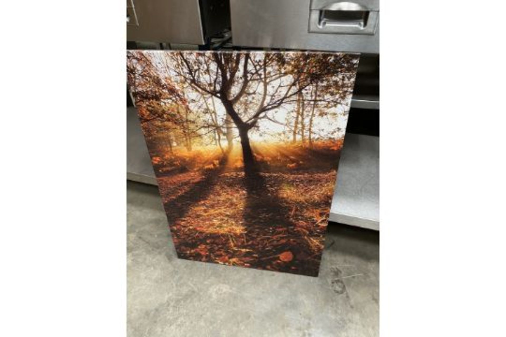 3 x Large Pictures,3 x Large Pictures, - Image 2 of 4