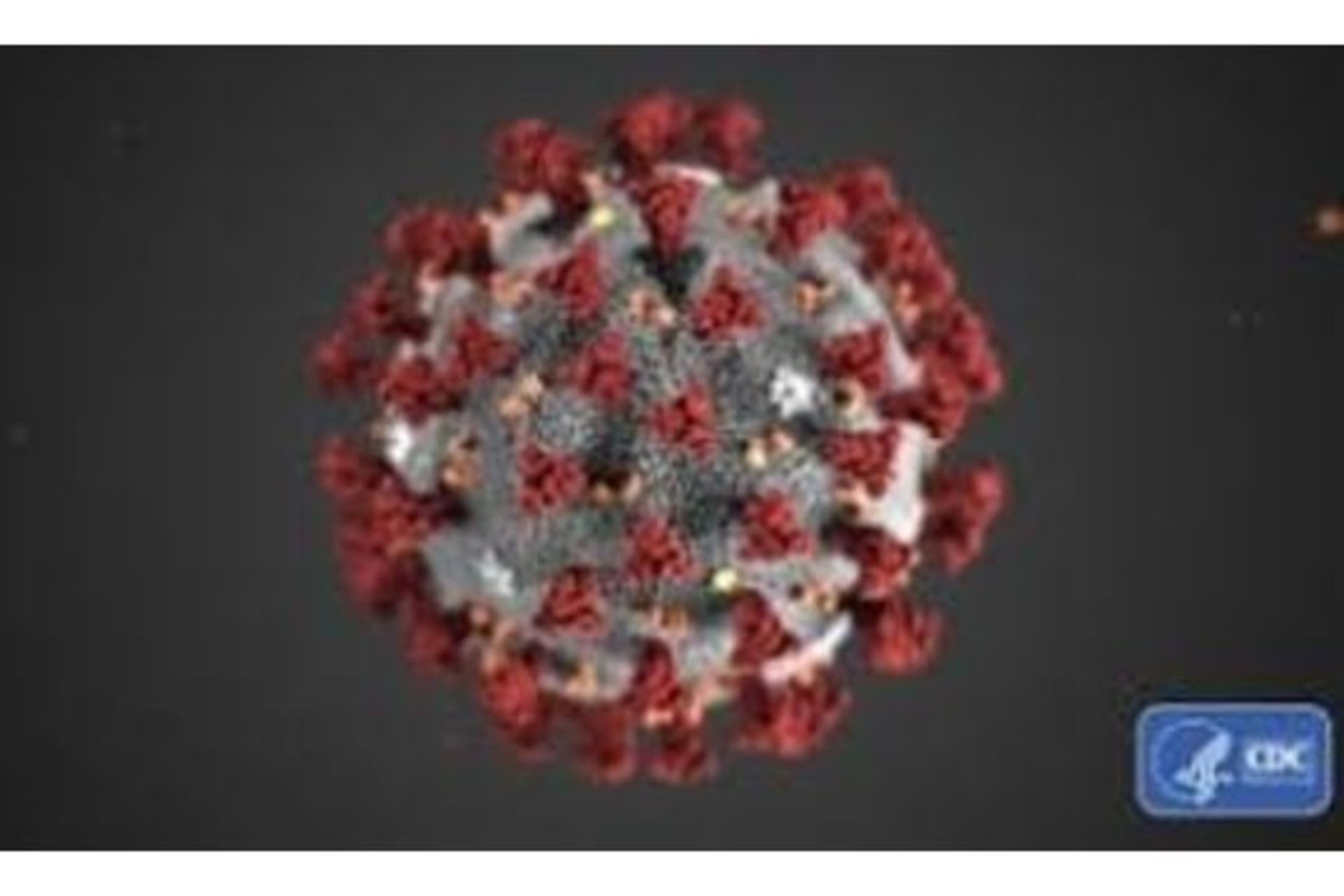 Coronavirus,Covid-19 Update,