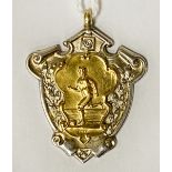 H/M SILVER & GOLD SPORTING PENDANT