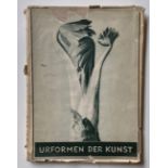 URFORMEN DER KUNST BY PROFESSOR KARL BLOSSFELDT (1953)