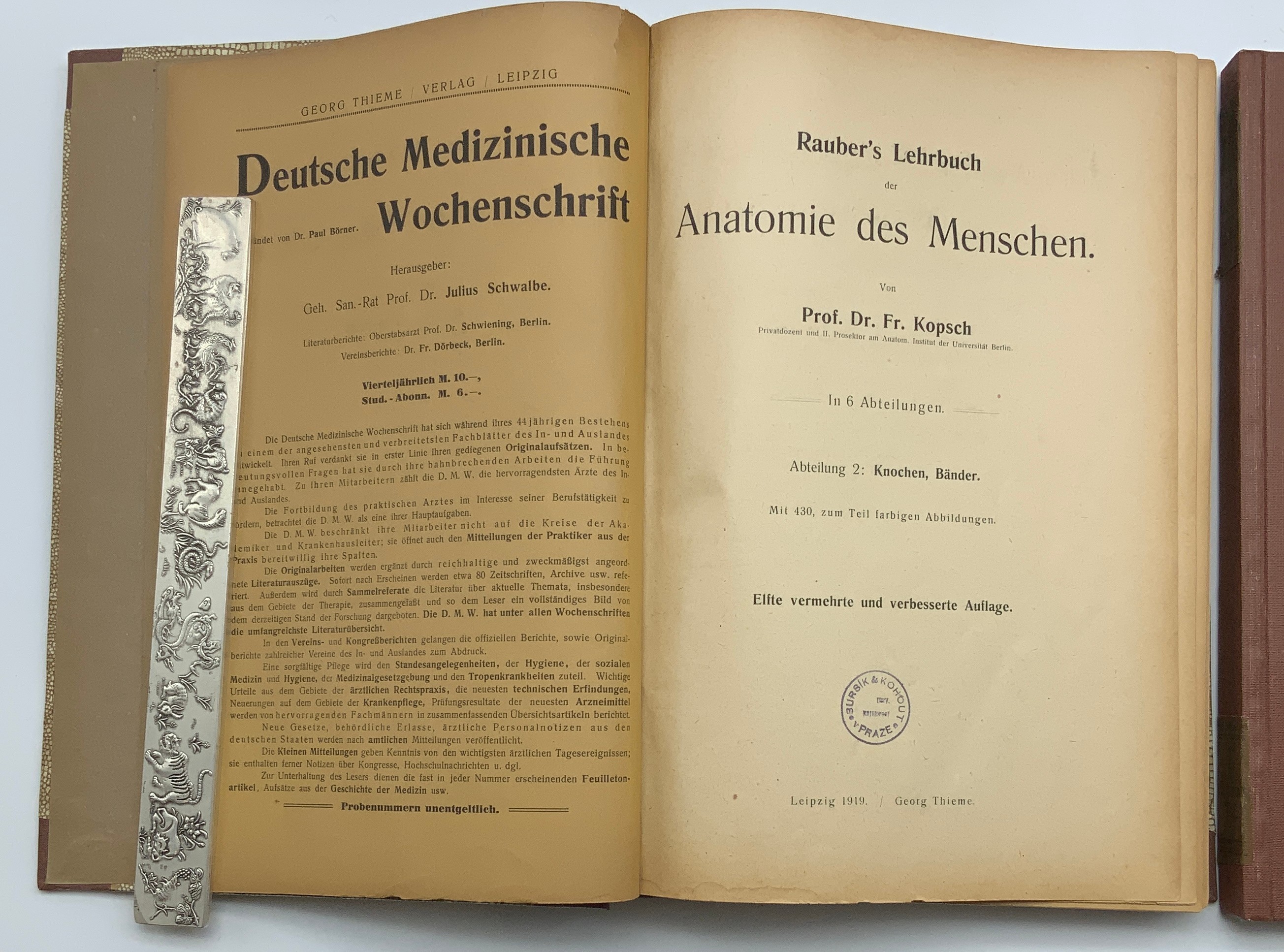 SET OF MEDICAL ANATOMY BOOKS (GERMAN) FROM the 1920s - Image 3 of 7