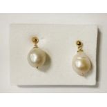 9CT GOLD SOUTH SEA PEARL EARRINGS