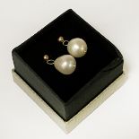 9CT GOLD SOUTH SEA PEARL EARRINGS