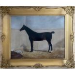 T. Benson 19th Century. British. Oil on canvas. “A Racehorse in a Stable”. Signed and dated.