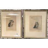TWO PENCIL DRAWINGS OF CATS 43CMS (H) X 34CMS (W) SPPROX